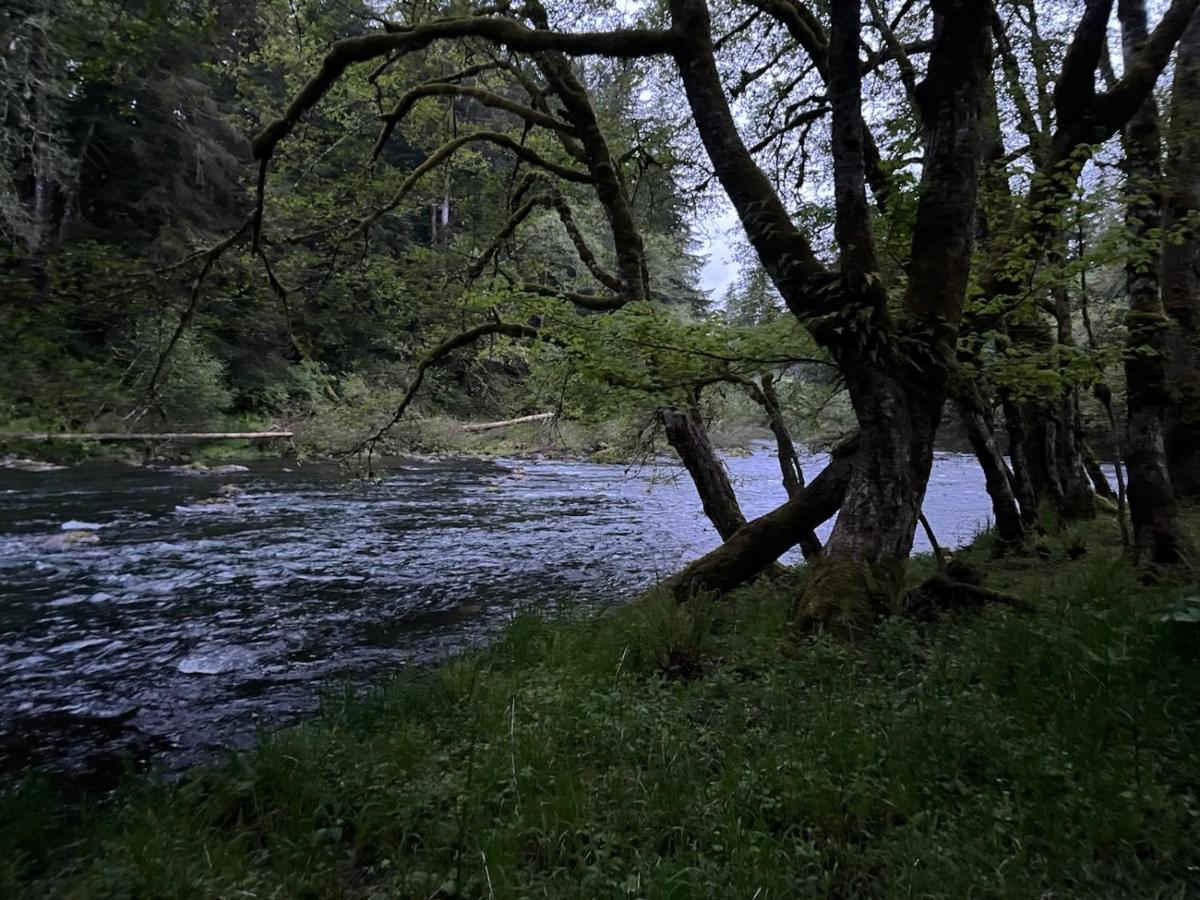 A Relaxing Getaway-A Backwoods Cabin Solduc River Beaver Exterior foto