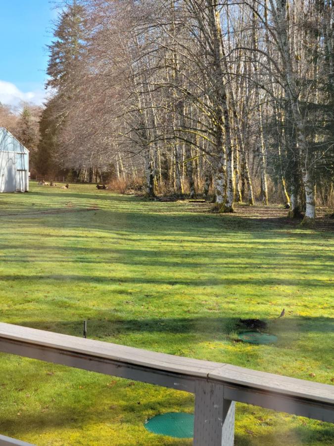 A Relaxing Getaway-A Backwoods Cabin Solduc River Beaver Exterior foto