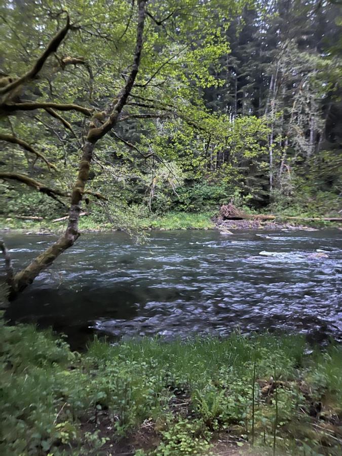 A Relaxing Getaway-A Backwoods Cabin Solduc River Beaver Exterior foto