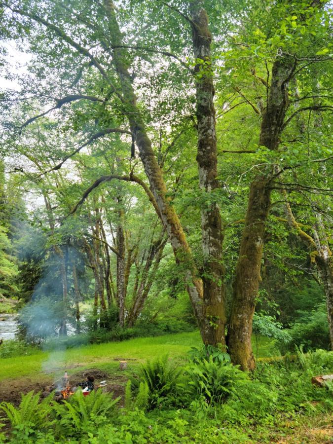 A Relaxing Getaway-A Backwoods Cabin Solduc River Beaver Exterior foto