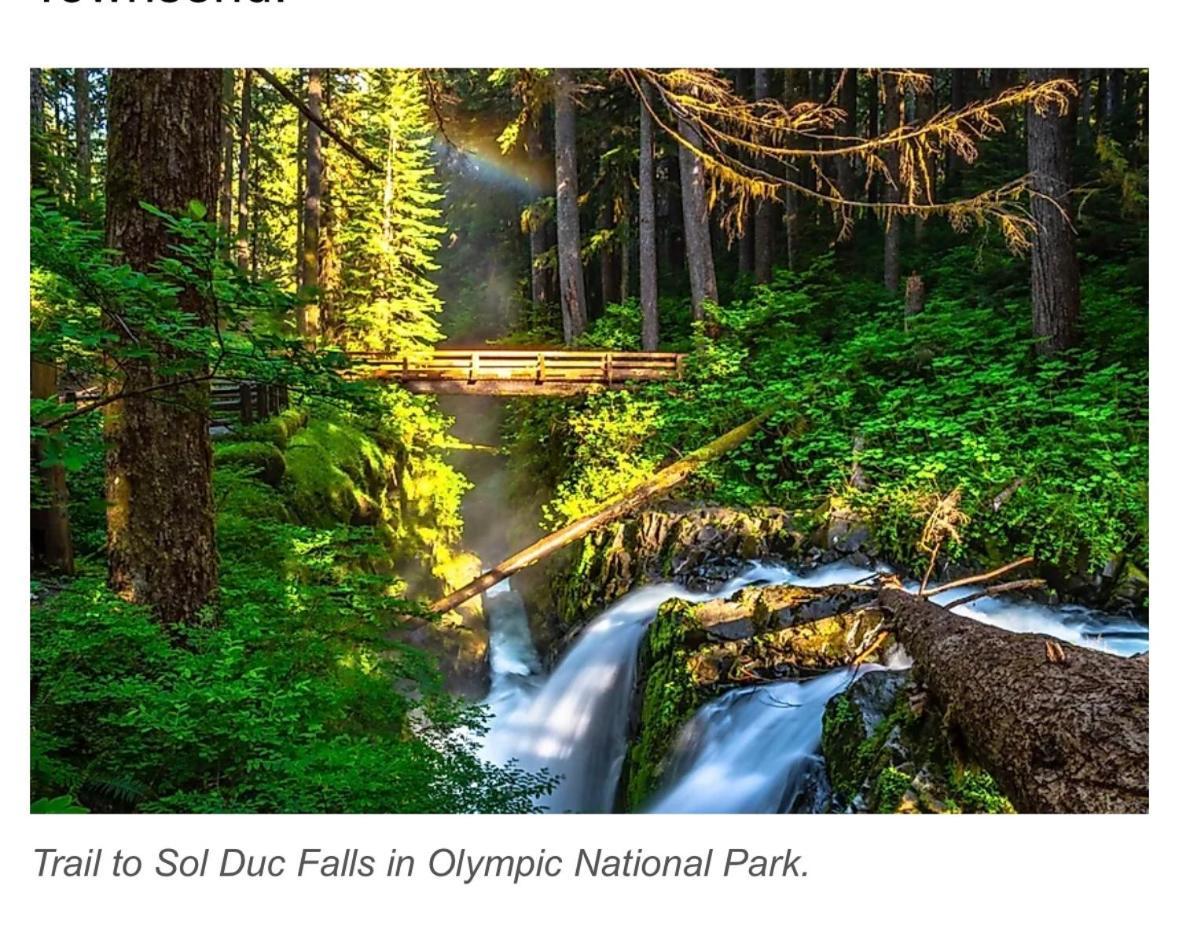 A Relaxing Getaway-A Backwoods Cabin Solduc River Beaver Exterior foto